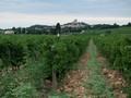 chateauneuf
